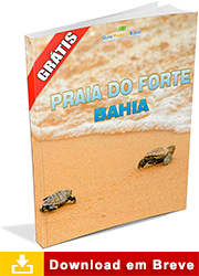 Ebook sobre a Praia do Forte
