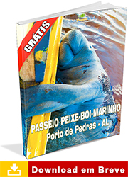 Ebook sobre Alagoas