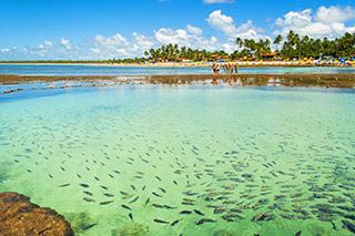 Destinos Turísticos de Pernambuco